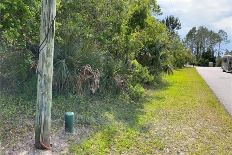 Land in Palm Coast, Florida № 509211 - photo 5
