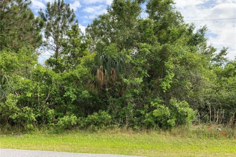 Land in Palm Coast, Florida № 509211 - photo 6