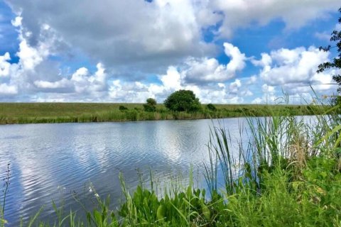 Land in Okeechobee, Florida № 954665 - photo 8