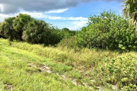 Land in Okeechobee, Florida № 954665 - photo 5