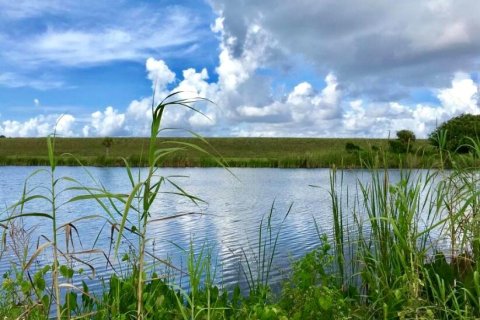 Land in Okeechobee, Florida № 954665 - photo 4