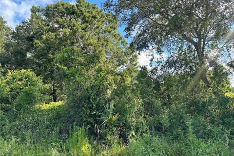 Купить земельный участок в Окичоби, Флорида № 546138 - фото 9