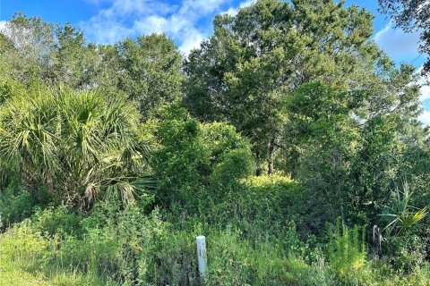 Terrain à vendre à Okeechobee, Floride № 546138 - photo 7