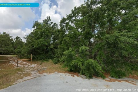 Terrain à vendre à Spring Hill, Floride № 1361412 - photo 6