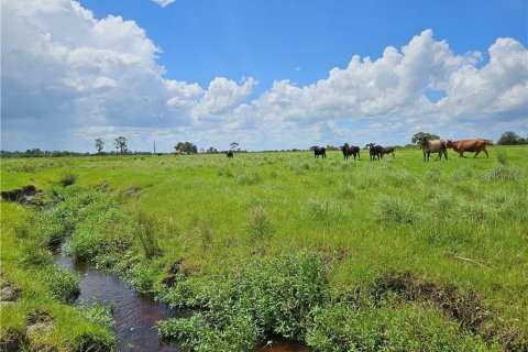 Terreno en venta en Venus, Florida № 1296099 - foto 6