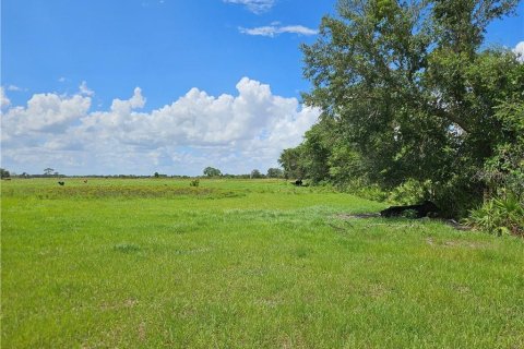 Land in Venus, Florida № 1296099 - photo 1