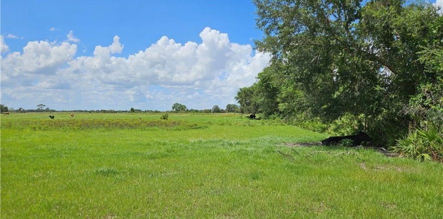 Terreno en Venus, Florida № 1296099