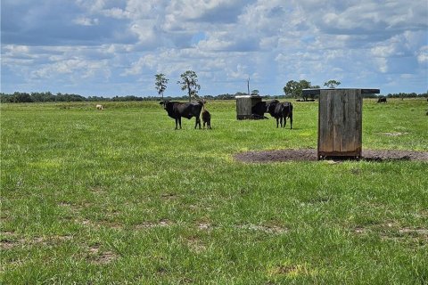 Land in Venus, Florida № 1296099 - photo 2