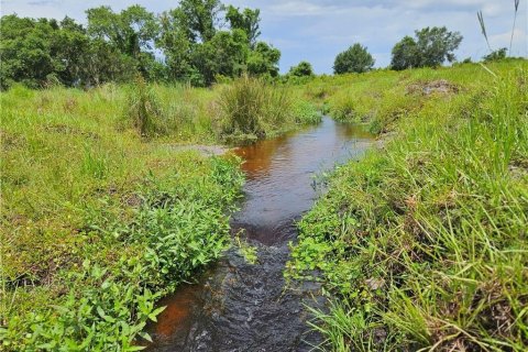 Land in Venus, Florida № 1296099 - photo 5