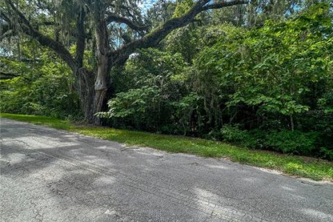 Terreno en venta en Center Hill, Florida № 1296097 - foto 4