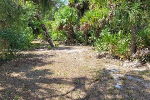 Terreno en venta en Clewiston, Florida № 750455 - foto 6