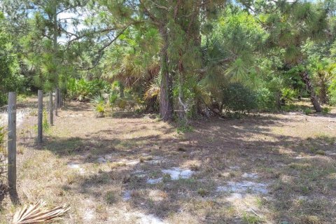 Terreno en venta en Clewiston, Florida № 750455 - foto 4