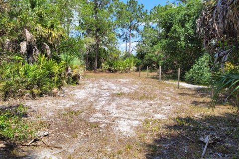 Terreno en venta en Clewiston, Florida № 750455 - foto 5