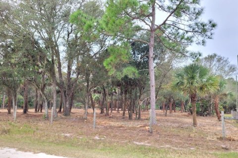Terreno en venta en Clewiston, Florida № 750455 - foto 9