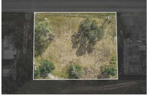 Land in Avon Park, Florida № 1354738 - photo 2