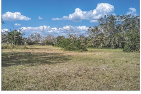 Land in Avon Park, Florida № 1354738 - photo 1