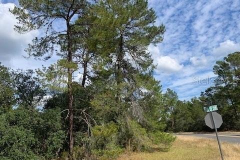 Terrain à vendre à Ocala, Floride № 952673 - photo 6