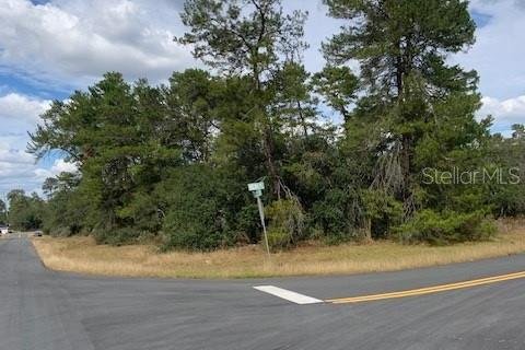 Terrain à vendre à Ocala, Floride № 952673 - photo 4