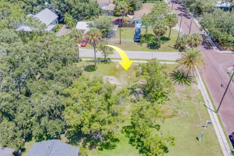 Terreno en venta en Safety Harbor, Florida № 1306832 - foto 9