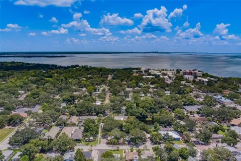 Land in Safety Harbor, Florida № 1306832 - photo 19