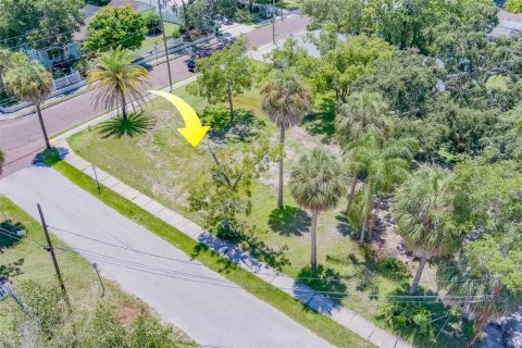 Terreno en venta en Safety Harbor, Florida № 1306832 - foto 6