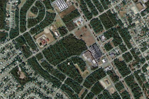 Land in Ocala, Florida № 1091135 - photo 23