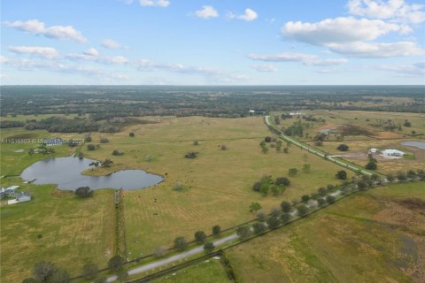 Land in Okeechobee, Florida № 956561 - photo 12