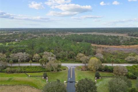 Land in Okeechobee, Florida № 956561 - photo 21