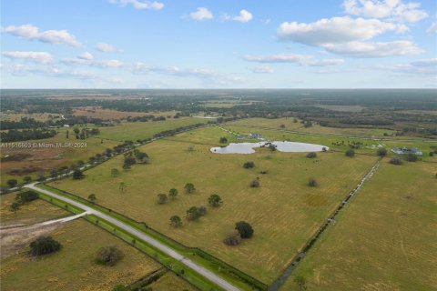 Land in Okeechobee, Florida № 956561 - photo 5