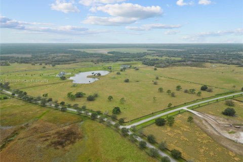 Land in Okeechobee, Florida № 956561 - photo 1