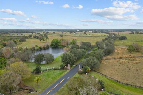 Land in Okeechobee, Florida № 956561 - photo 22