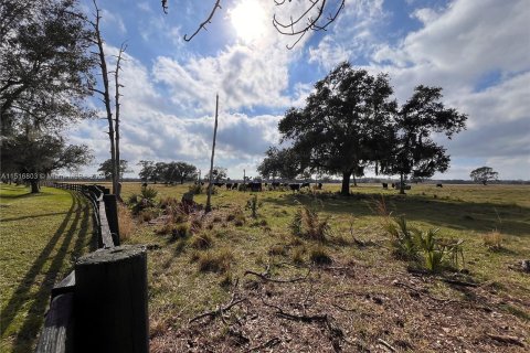 Land in Okeechobee, Florida № 956561 - photo 24