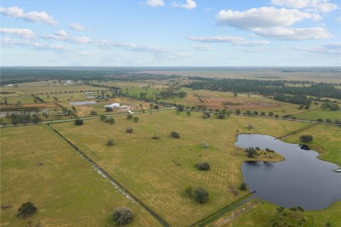 Land in Okeechobee, Florida № 956561 - photo 7