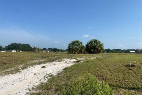 Land in Okeechobee, Florida № 1180168 - photo 1