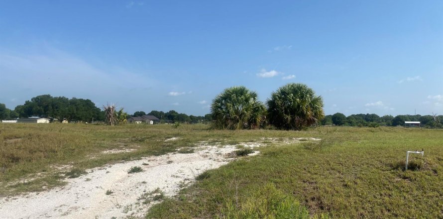 Terrain à Okeechobee, Floride № 1180168