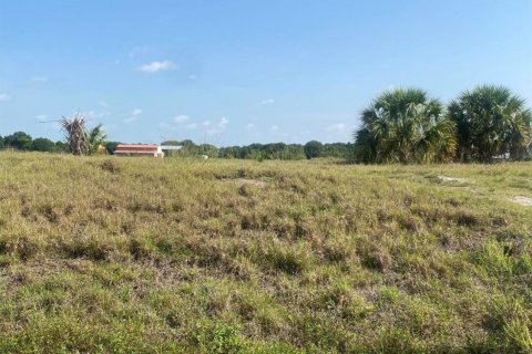 Land in Okeechobee, Florida № 1180168 - photo 2