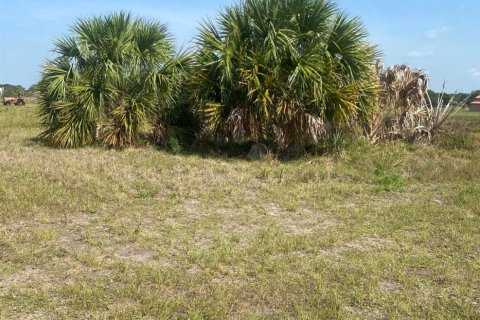 Land in Okeechobee, Florida № 1180168 - photo 4