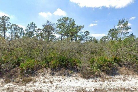 Terrain à vendre à Lake Placid, Floride № 964464 - photo 1
