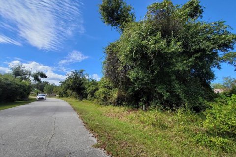 Terrain à vendre à Palm Coast, Floride № 964466 - photo 6