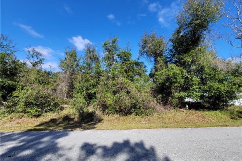 Terrain à vendre à Palm Coast, Floride № 964466 - photo 1