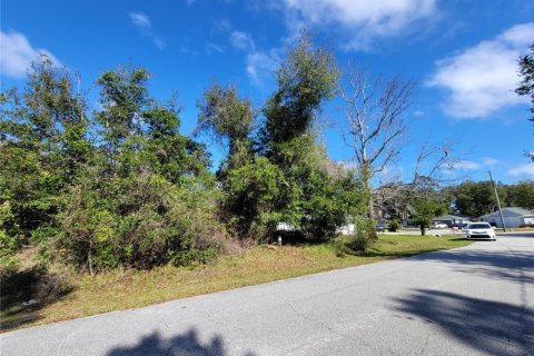Terrain à vendre à Palm Coast, Floride № 964466 - photo 18