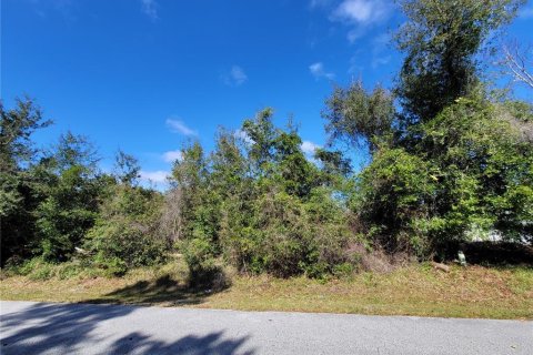 Terrain à vendre à Palm Coast, Floride № 964466 - photo 15