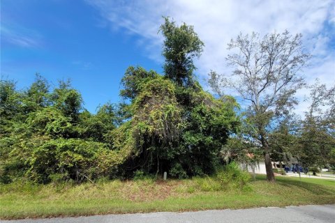 Купить земельный участок в Палм-Кост, Флорида № 964466 - фото 3