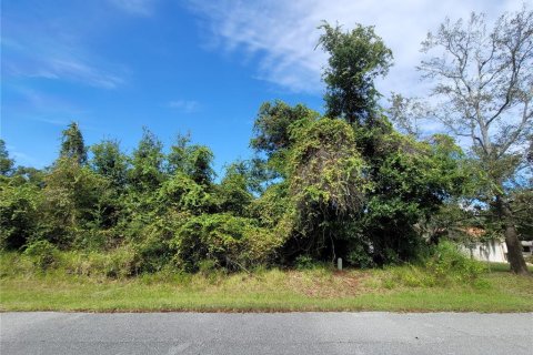 Terrain à vendre à Palm Coast, Floride № 964466 - photo 7