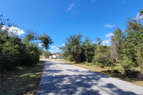 Купить земельный участок в Палм-Кост, Флорида № 964466 - фото 16