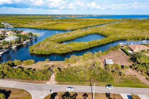 Land in Port Charlotte, Florida № 216247 - photo 8