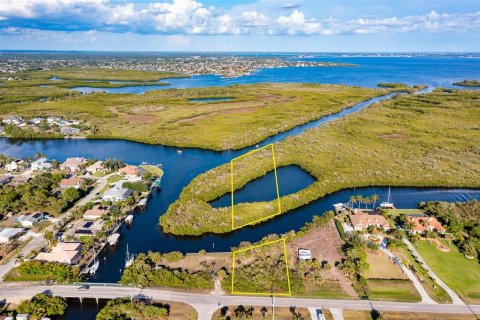 Land in Port Charlotte, Florida № 216247 - photo 9