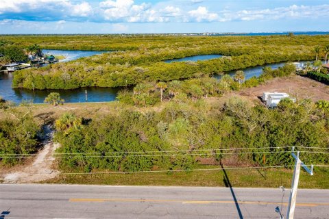 Land in Port Charlotte, Florida № 216247 - photo 7