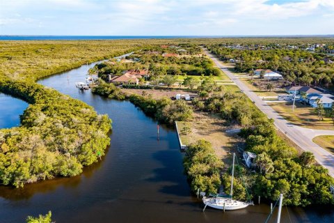 Land in Port Charlotte, Florida № 216247 - photo 28