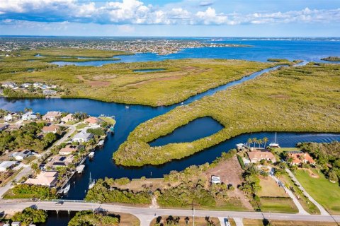 Land in Port Charlotte, Florida № 216247 - photo 10